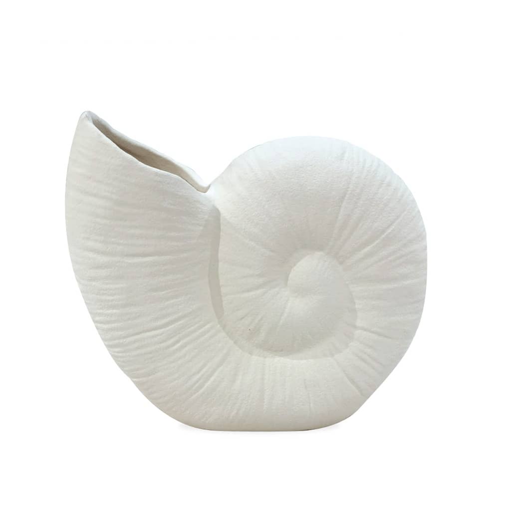 coquillage coquillage
